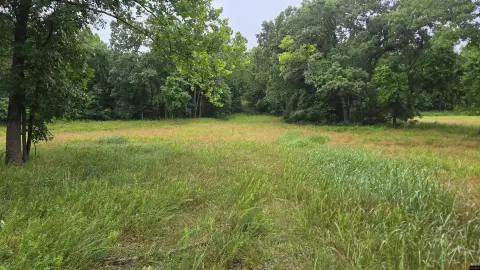 Recreational Hunting Land Tract
