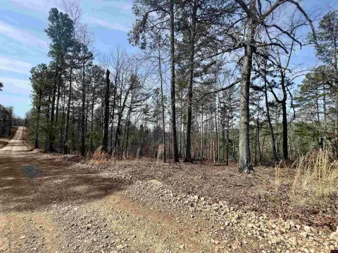 Unrestricted Land Near Buffalo Park
