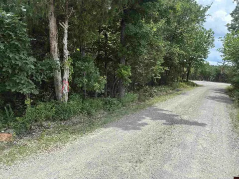 Unrestricted Wooded Hunting Land