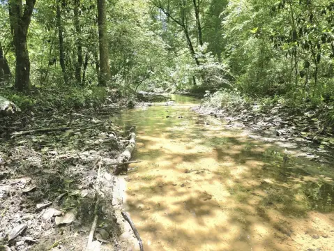 Secluded Hunting and Timber Tract