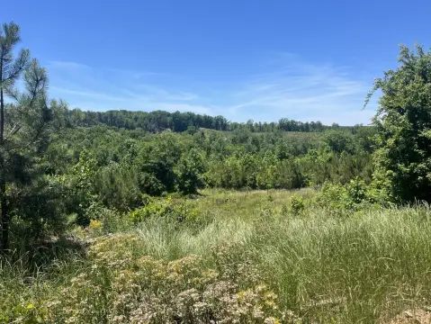 35 Acres Vacant Land