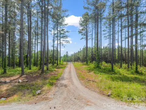 28 Acres of Natural Beauty