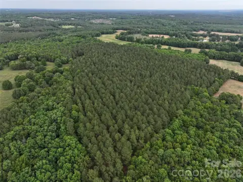 29.6 Acres Wooded Land Peachland