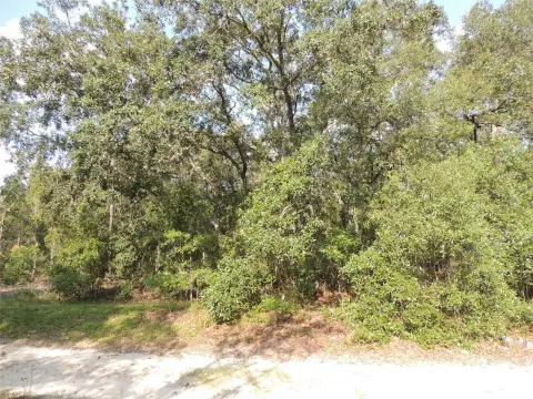 1.25 Acres in University Estates