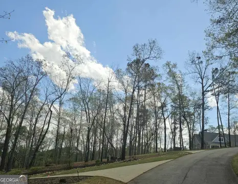 Toccoa Homesite in Currahee Club