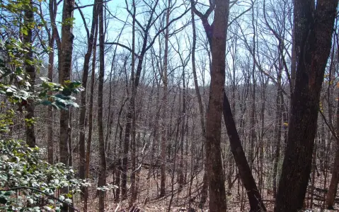 Hayesville, NC Lake Access Lot