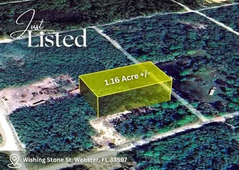 Undeveloped Lot in Webster, FL