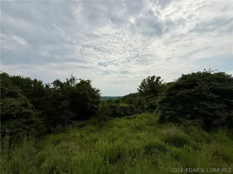 Wooded Lake-Adjacent Land