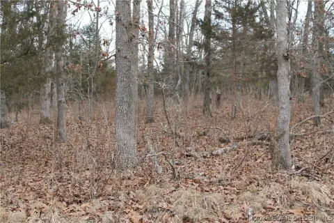 Wooded Retreat Homesite Land