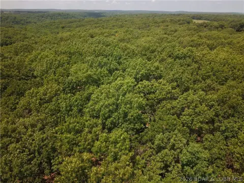 Wooded Recreational Land Tract