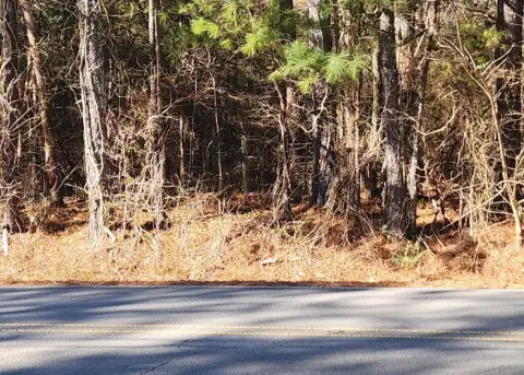 91 Acres Versatile Guntersville Land