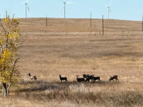 1360 Acres of Cropland/Grassland