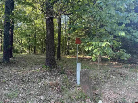 Residential Land in Yellville, AR