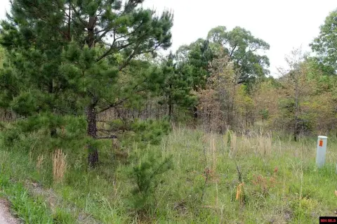 Level Lot Near Norfork Lake