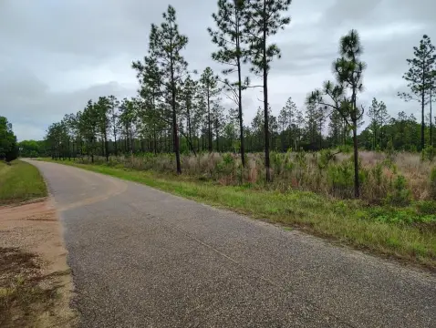 Residential Land in Pansey, AL
