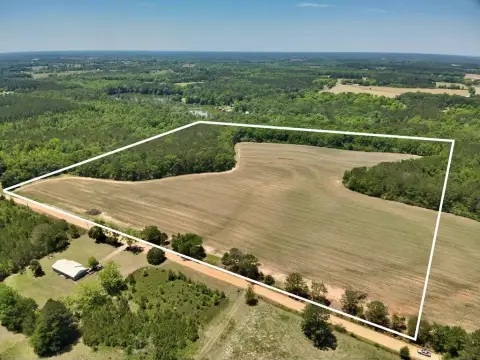 Residential Land in Chancellor, AL