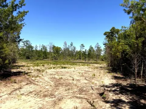 Cleared Homesite Land in Fountain
