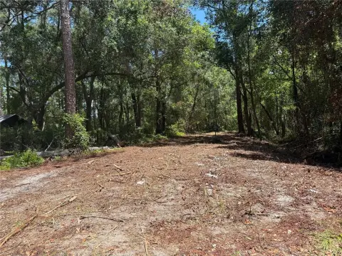 Wooded Hunting Land