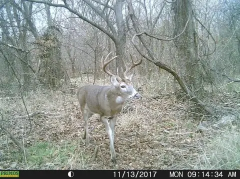 24.78 Acres in Sunset, TX