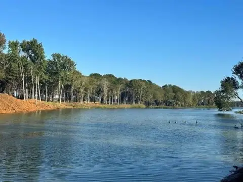 Lake Palestine Cove Lot
