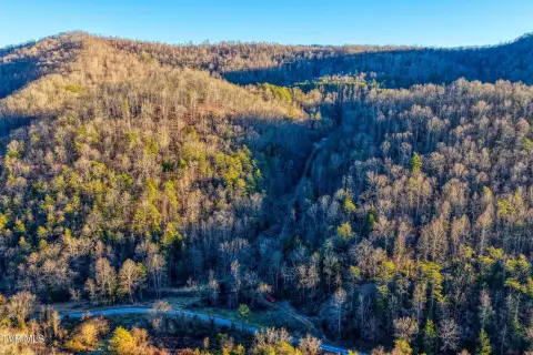91.62 Acres in Eidson, TN