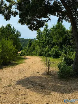 Unrestricted Land Tract with Clearings