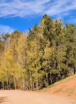 Buildable Mountain Land in Cripple Creek
