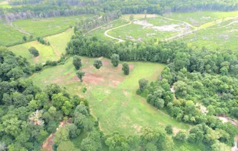 235 Acres of Alabama Paradise