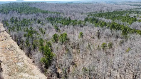 60 Acres of Hunting Land