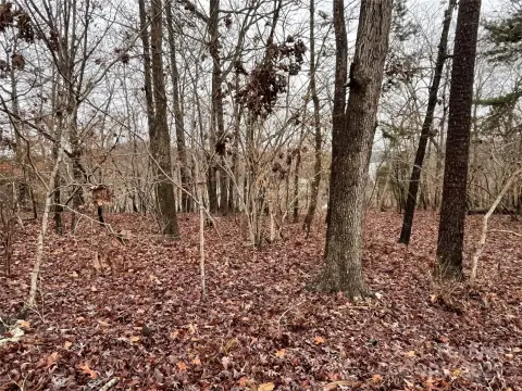 Corner Home Site Lot