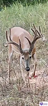 Hunting Paradise Farm with Cabin