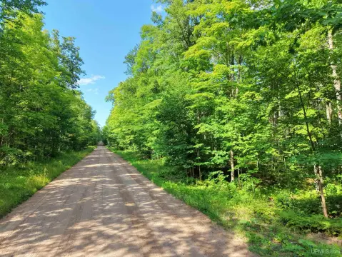 Wooded Land Along County Road