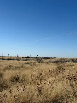 160 Acre West Texas Land
