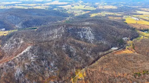 40 Acres of Prime Hunting