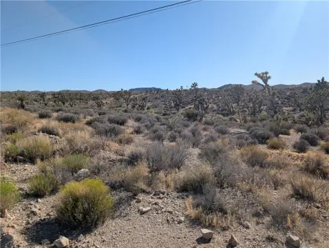 Commercial Land Near Main Road