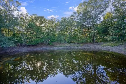 Secluded Wooded Land Near Teague