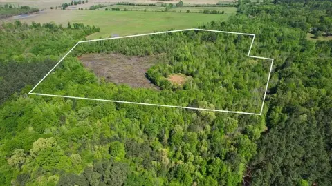 21.74 Acres Hunting Land