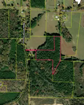 Wooded Hunting Land