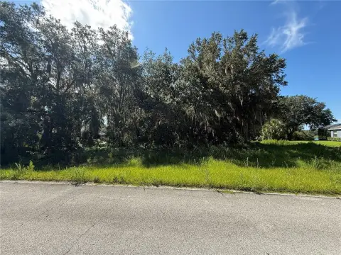 EUSTIS, FL Land Opportunity