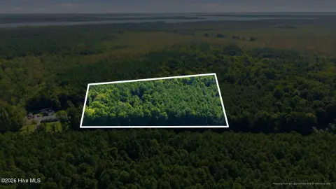 Wooded Land Parcel