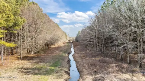 Secluded Hunting and Timber Land