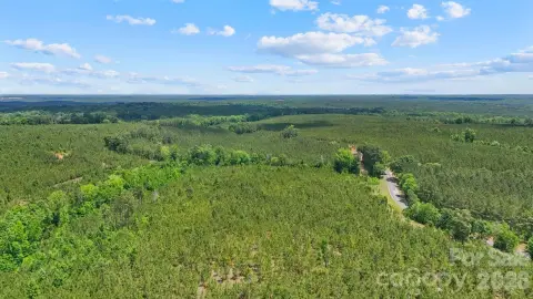 Homestead Tract with Creek and Timber