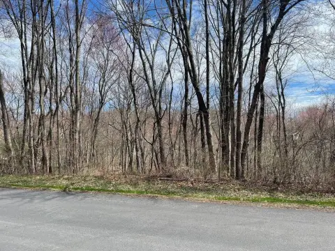 Wooded Residential Land Parcels