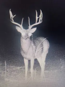 40 Acres Hunting Land in Clayton