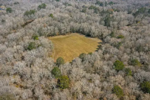 Crenshaw County Hunting and Timber Land