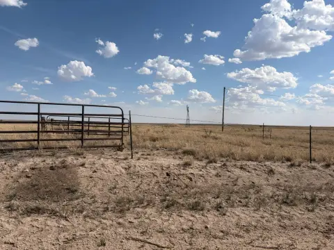 177 Acres of Farmland