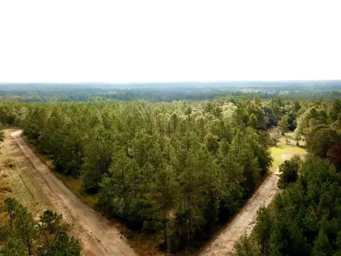 Wooded Land in Woodville, TX