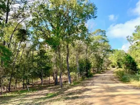 Wooded Acreage in Woodville, TX