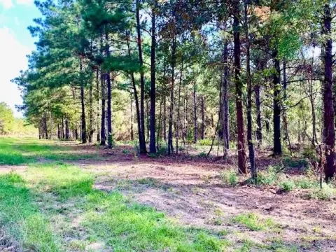 Wooded Acreage in Woodville, Texas