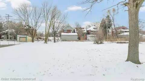 Detroit Vacant Land Opportunity